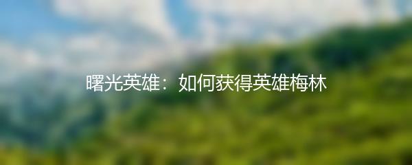 曙光英雄：如何获得英雄梅林