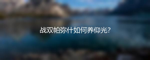 战双帕弥什如何养仰光？