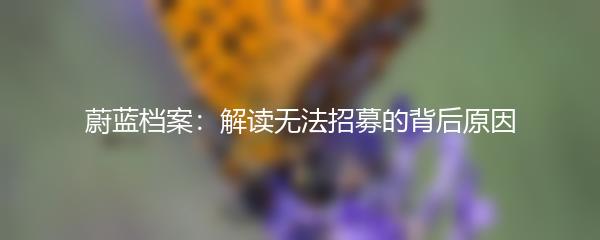 蔚蓝档案：解读无法招募的背后原因