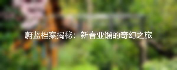 蔚蓝档案揭秘：新春亚馏的奇幻之旅