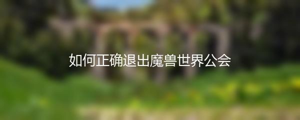 如何正确退出魔兽世界公会