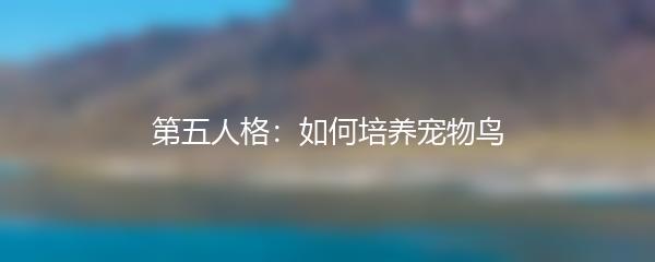 第五人格：如何培养宠物鸟