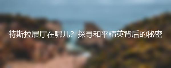 特斯拉展厅在哪儿？探寻和平精英背后的秘密