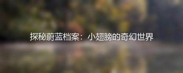 探秘蔚蓝档案：小翅膀的奇幻世界