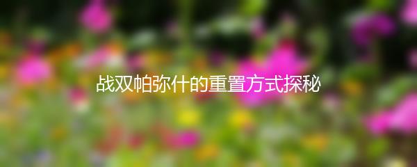 战双帕弥什的重置方式探秘