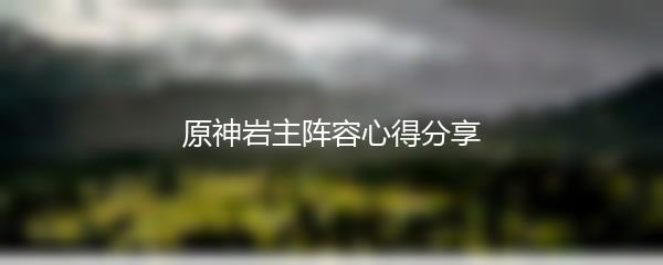 原神岩主阵容心得分享