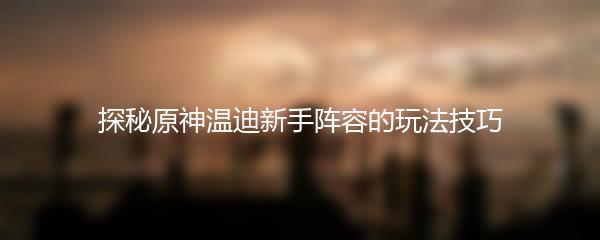 探秘原神温迪新手阵容的玩法技巧