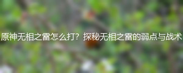 原神无相之雷怎么打？探秘无相之雷的弱点与战术