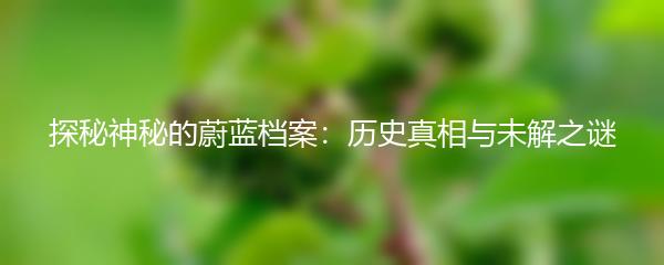 探秘神秘的蔚蓝档案：历史真相与未解之谜