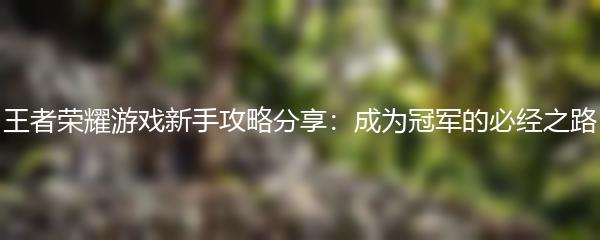 王者荣耀游戏新手攻略分享：成为冠军的必经之路