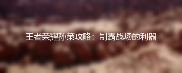 王者荣耀孙策攻略：制霸战场的利器