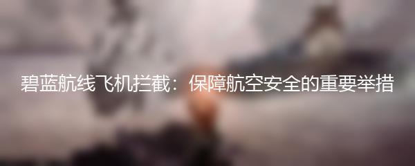 碧蓝航线飞机拦截：保障航空安全的重要举措