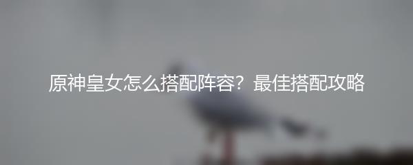原神皇女怎么搭配阵容？最佳搭配攻略