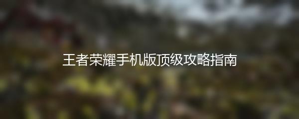 王者荣耀手机版顶级攻略指南