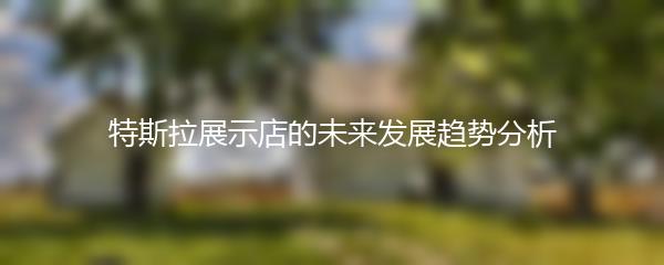 特斯拉展示店的未来发展趋势分析