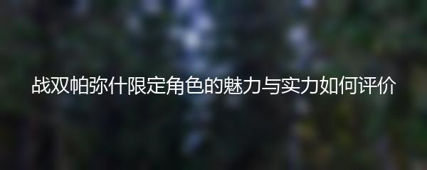 战双帕弥什限定角色的魅力与实力如何评价