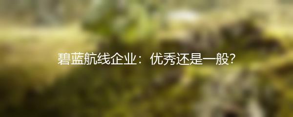 碧蓝航线企业：优秀还是一般？