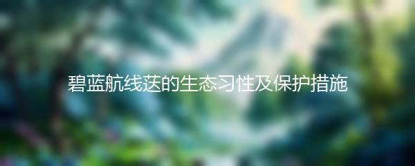 碧蓝航线荙的生态习性及保护措施