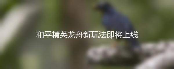 和平精英龙舟新玩法即将上线