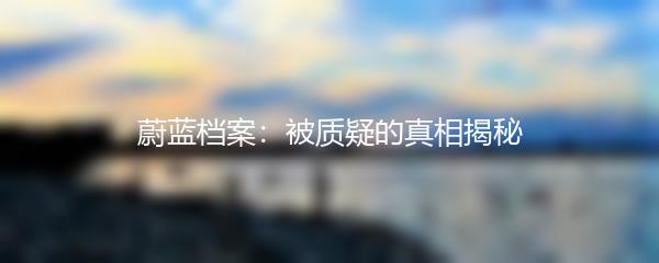 蔚蓝档案：被质疑的真相揭秘