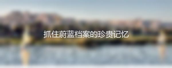 抓住蔚蓝档案的珍贵记忆