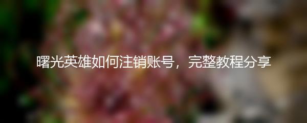 曙光英雄如何注销账号，完整教程分享