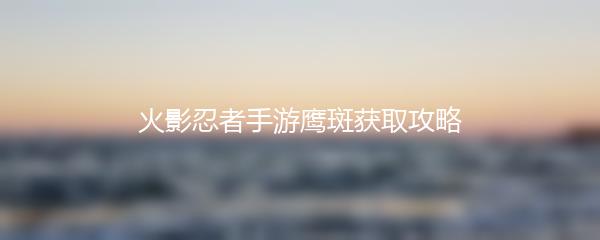 火影忍者手游鹰斑获取攻略