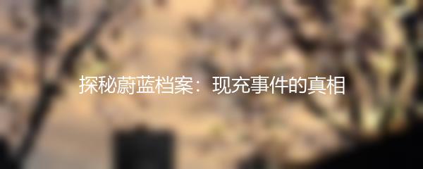 探秘蔚蓝档案：现充事件的真相