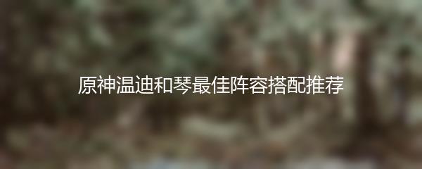 原神温迪和琴最佳阵容搭配推荐