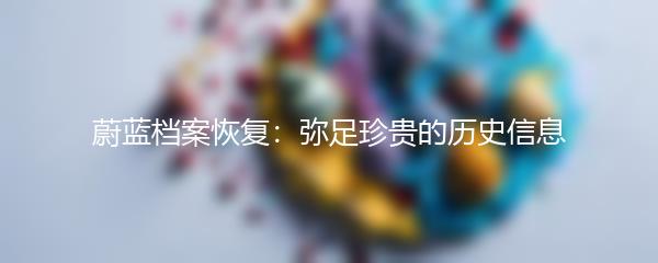 蔚蓝档案恢复：弥足珍贵的历史信息