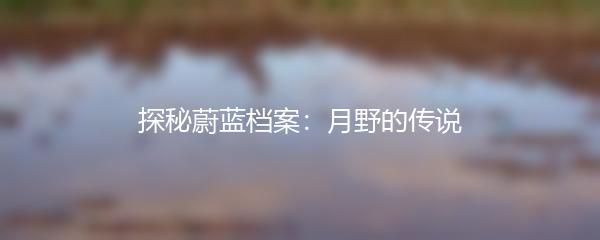 探秘蔚蓝档案：月野的传说