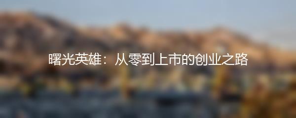 曙光英雄：从零到上市的创业之路