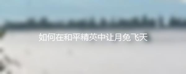 如何在和平精英中让月兔飞天