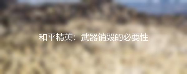 和平精英：武器销毁的必要性