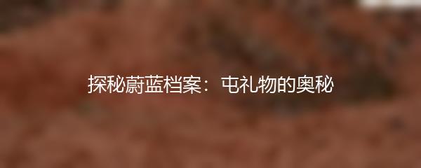 探秘蔚蓝档案：屯礼物的奥秘