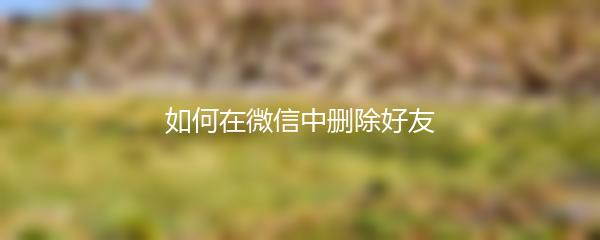 如何在微信中删除好友