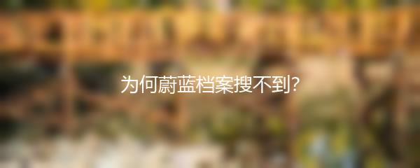 为何蔚蓝档案搜不到？
