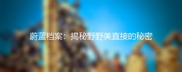 蔚蓝档案：揭秘野野美直接的秘密
