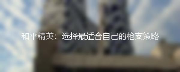 和平精英：选择最适合自己的枪支策略