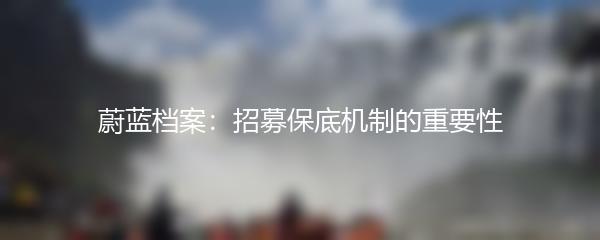 蔚蓝档案：招募保底机制的重要性