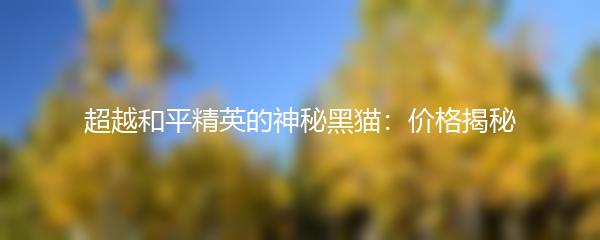 超越和平精英的神秘黑猫：价格揭秘