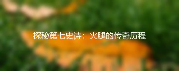 探秘第七史诗：火腿的传奇历程