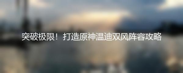 突破极限！打造原神温迪双风阵容攻略