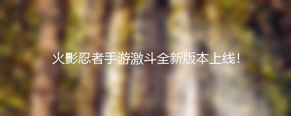 火影忍者手游激斗全新版本上线！