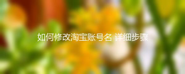 如何修改淘宝账号名 详细步骤