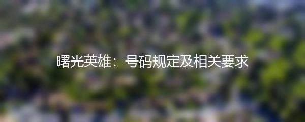 曙光英雄：号码规定及相关要求