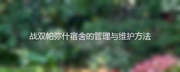 战双帕弥什宿舍的管理与维护方法