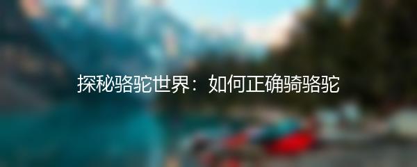 探秘骆驼世界：如何正确骑骆驼