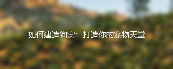 如何建造狗窝：打造你的宠物天堂