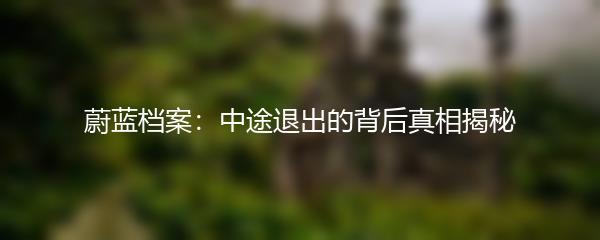 蔚蓝档案：中途退出的背后真相揭秘